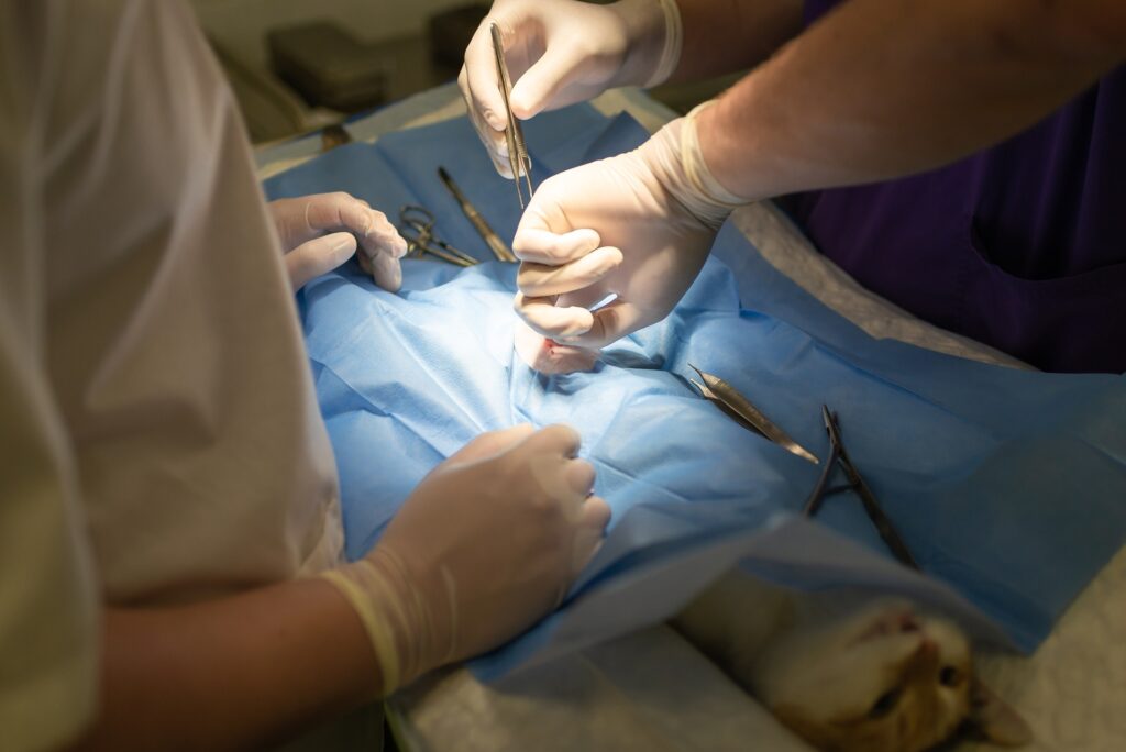 Odpowiednie naciągnięcie rękawiczek chirurgicznych zapewnia użytkownikowi lepsze wyczucie dotyku (Źródło: pixabay.com, Autor: Arvydas Lakacauskas)